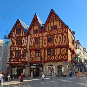 Bourgogne für Geniesser 