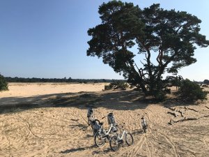 Nationalpark Hoge Veluwe 