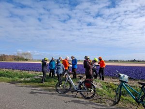 Geführte Rad- und Schiffsreise - Tulpentour